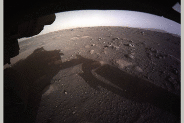 « ناسا » تنشر صورة بانورامية عالية الدقة التقطها « برسيفرنس » في المريخ