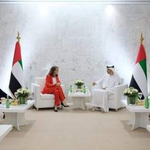 دور الإمارات في منتدى الاستثمار العالمي تعزيز التنمية المستدامة