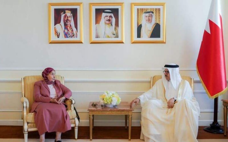 وزير الخارجية يجتمع مع أعضاء الهيئة الاستشارية للمجلس الأعلى لدول مجلس التعاون لدول الخليج العربية