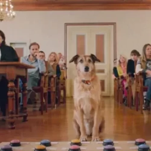 فاز كلب لوار كودي بجائزة Palm Dog المرموقة في مهرجان كان السينمائي لعام 2024