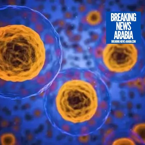 فك العلماء شفرة كيفية تفاعل فيروس كورونا مع البروتينات في الخلايا البشرية
